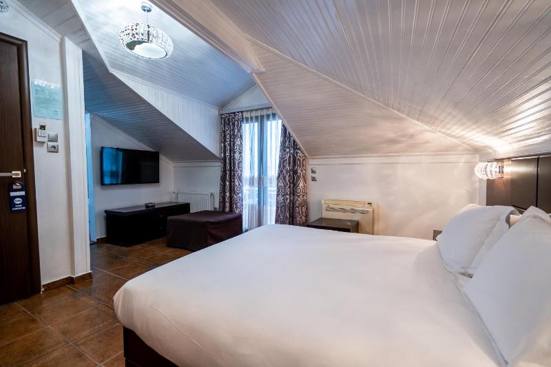 Double Room - Attic image 4