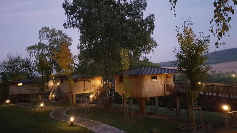 Treehouse Birkenhöhe image 1