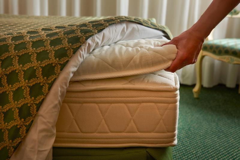 Double or Twin Room image 3