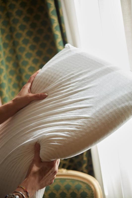 Double or Twin Room image 4