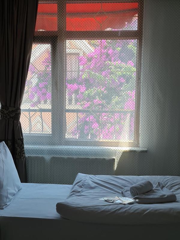 Economy Double Room image 2