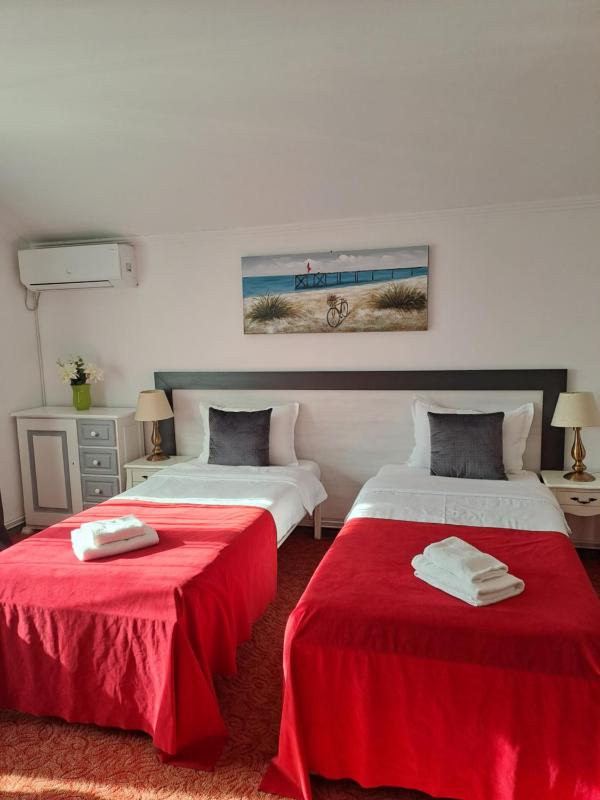 Deluxe Double or Twin Room image 1