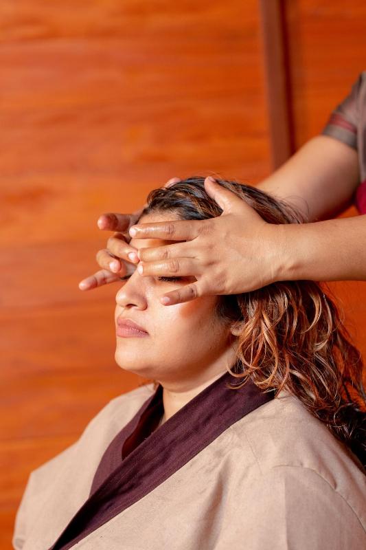 Celestia Ayurveda Resort - image 19