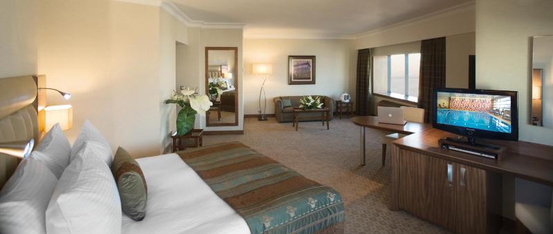 Junior King Suite image 3