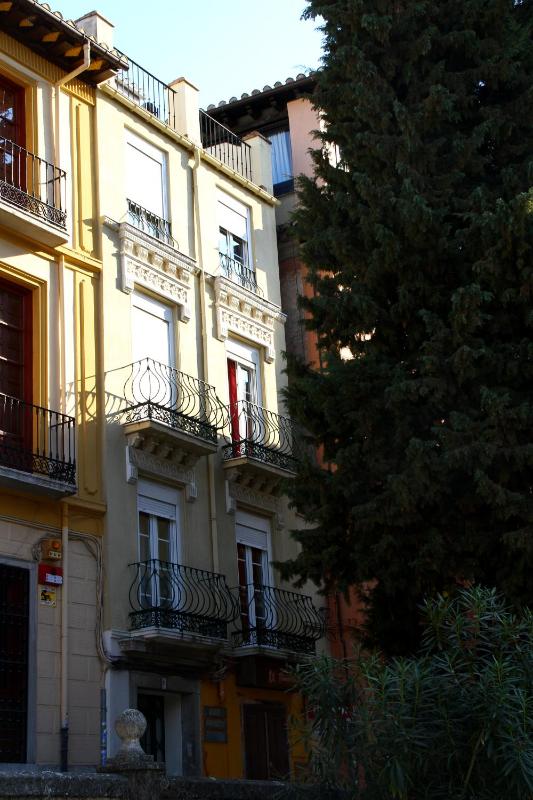 One-Bedroom Apartment image 4