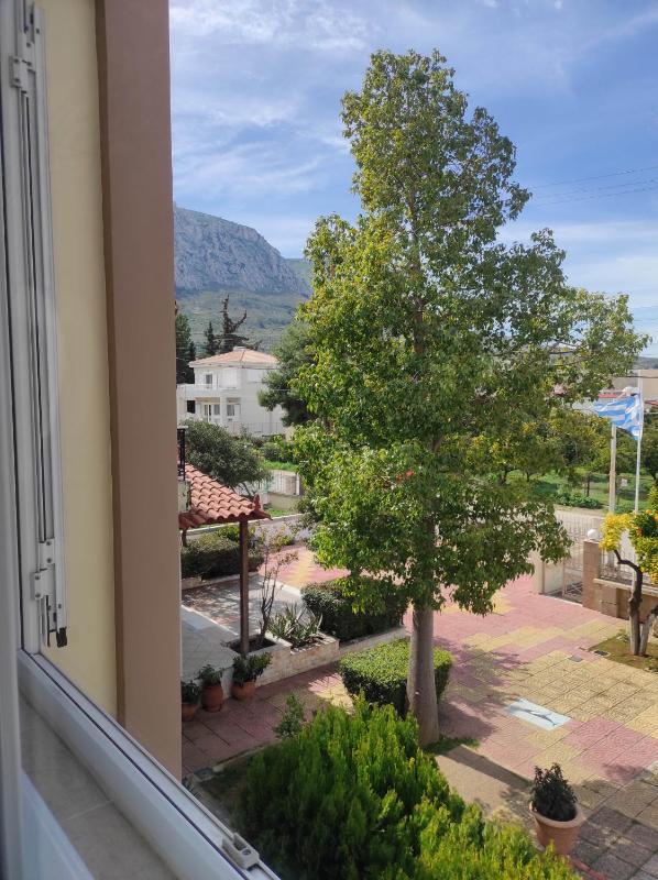 Double Room with Mountain View image 4