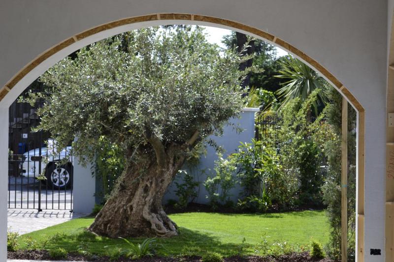 Acqua Resorts - image 17