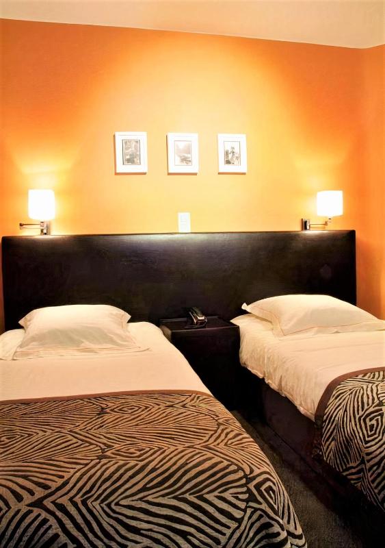 Double or Twin Room image 3