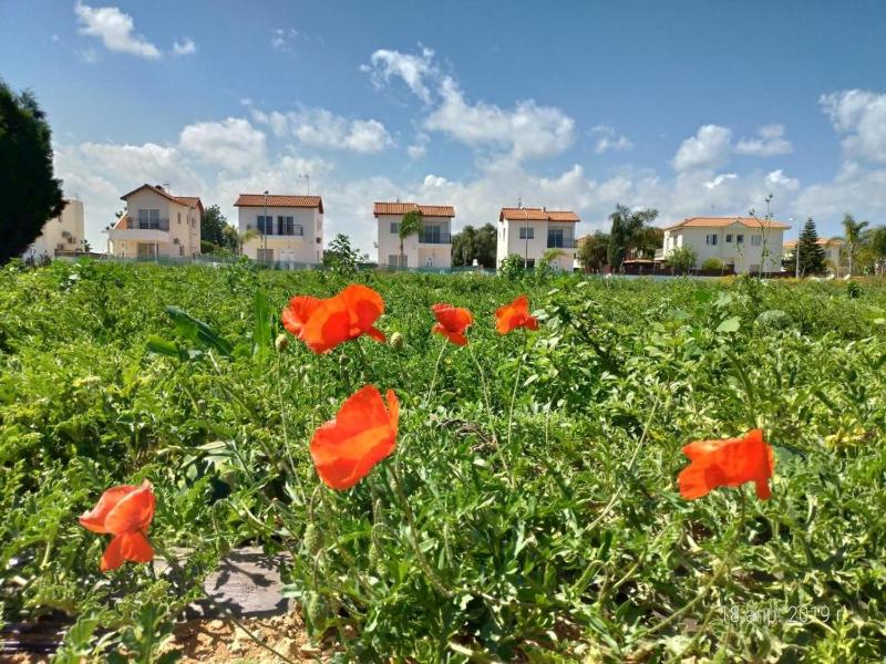 Maricosta Villas - image 3