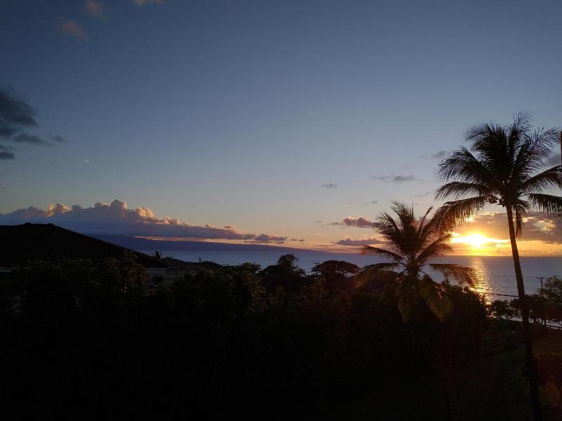 Hale Mai Hopohopo - image 8