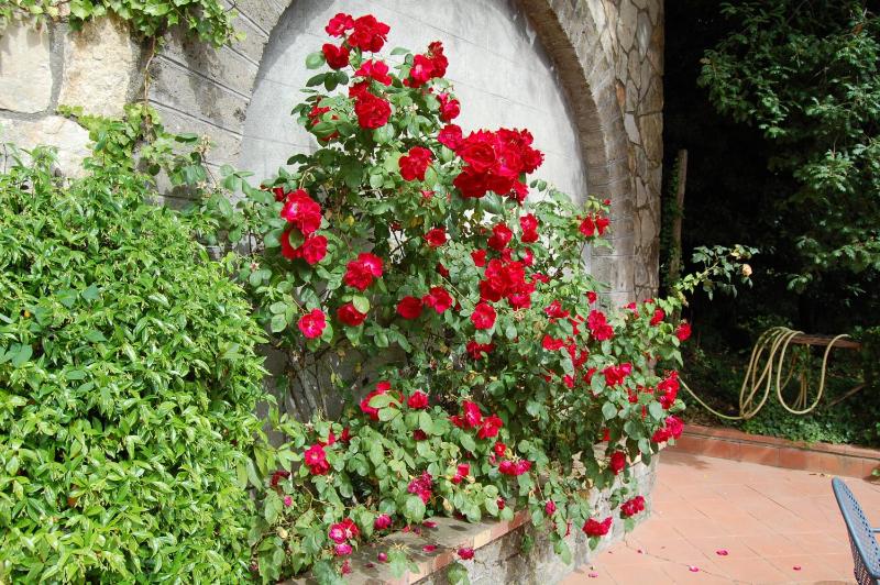 Villa Romita - image 23
