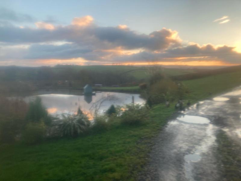 One-Bedroom Cottage image 4