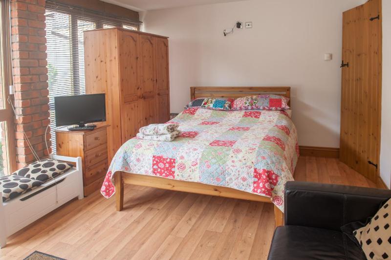 One-Bedroom Apartment image 4