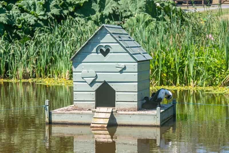 One-Bedroom Cottage image 2