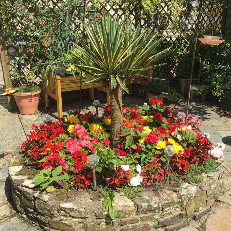 Deluxe Apartment image 2