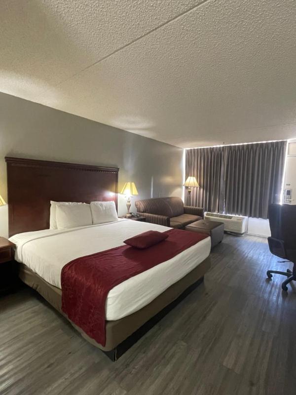 King Room - Non-Smoking image 3