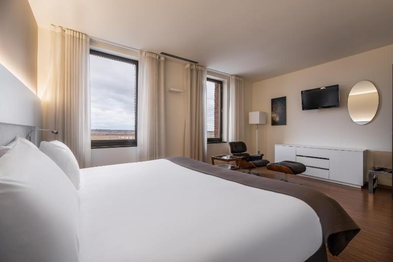 Standard Double Suite image 3