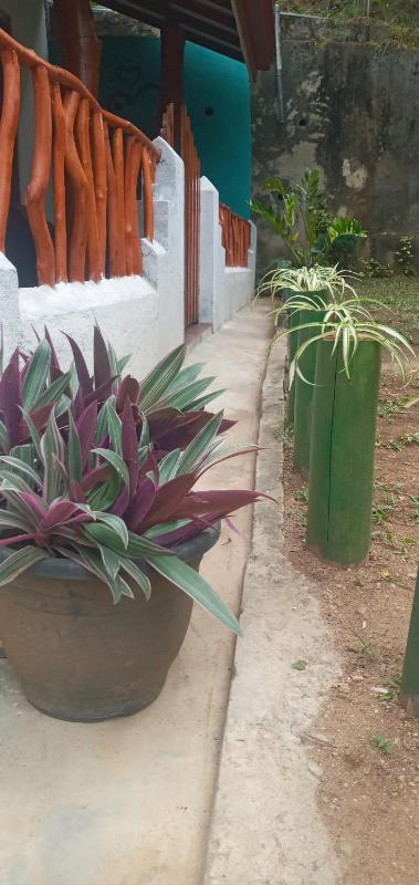 Induwara Guest - image 6