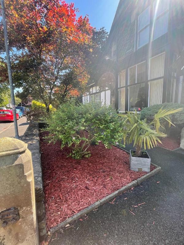 Beaumont Windermere - Adults-Only Boutique Guest House- Free Parking & Wellness Access - image 6