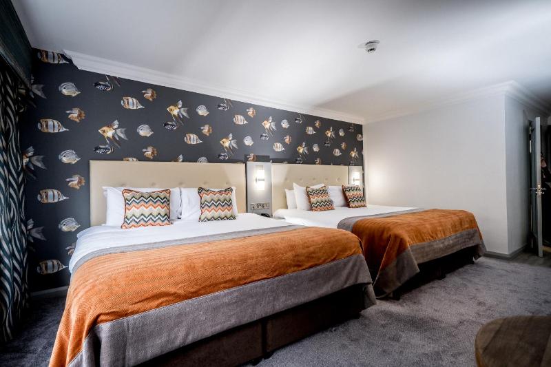 Deluxe Twin Room image 3