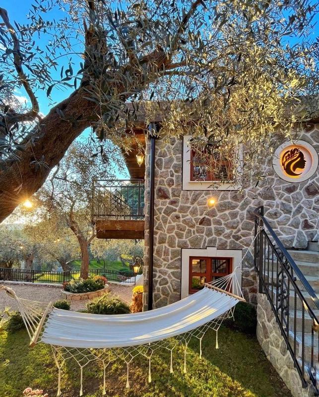 OLIVE QUEEN Rustic villa - image 4