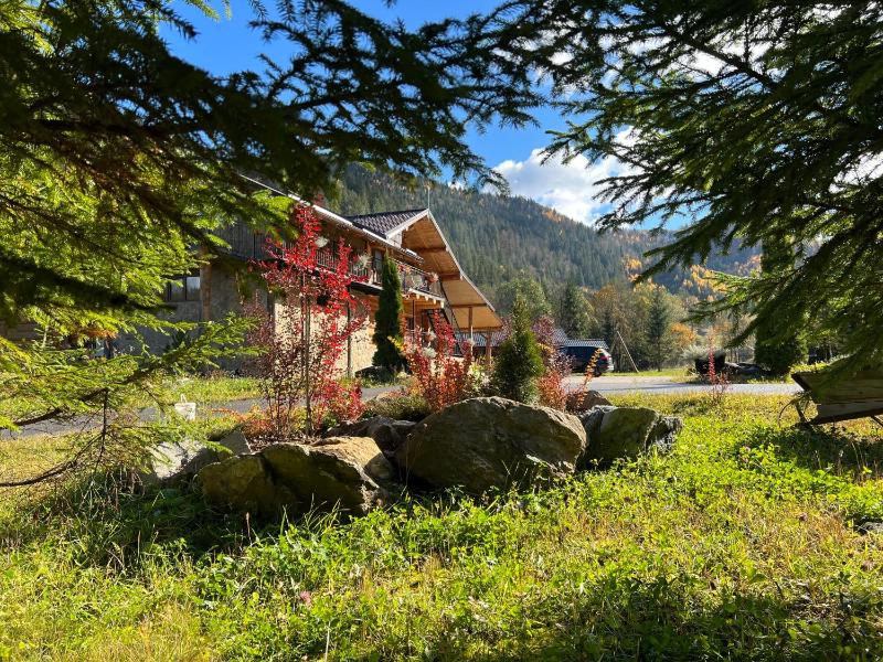 Staniștea Cerbilor Images