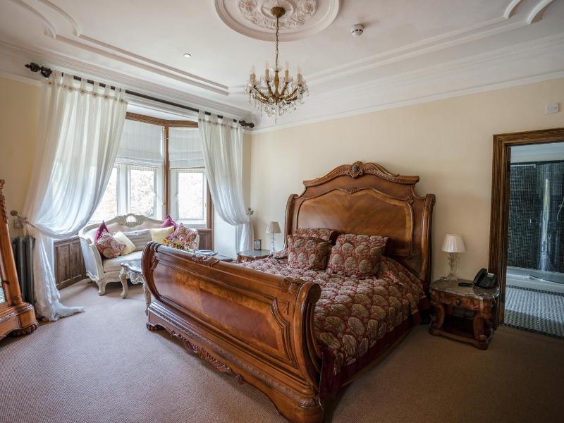 Deluxe King Suite image 1