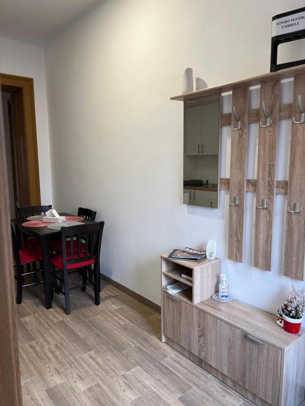Alice apartament centru Sibiu - image 21