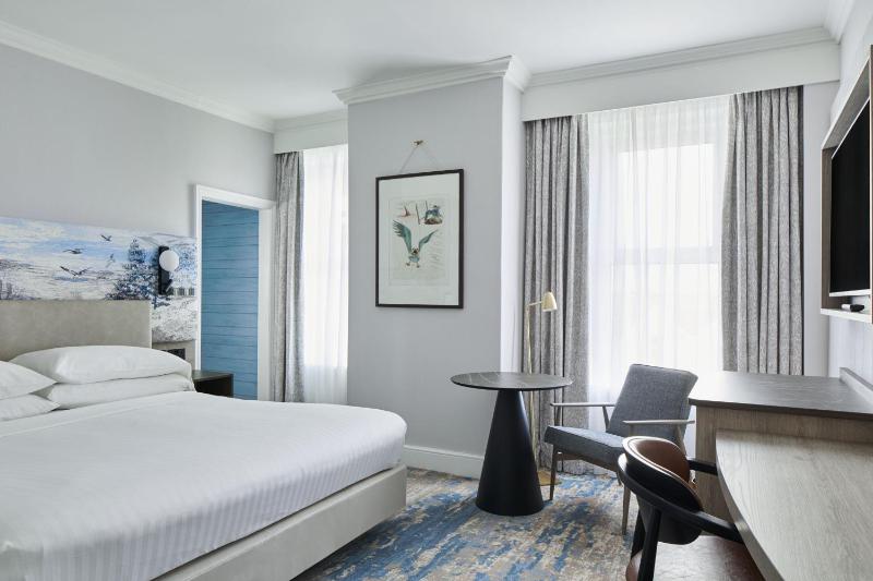 Deluxe King Room image 1