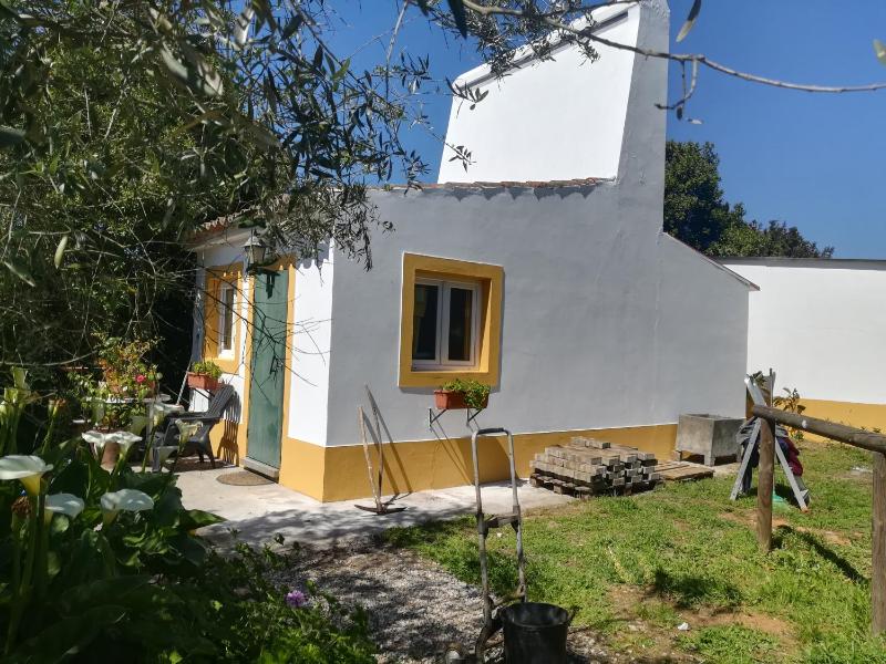 Studio with Garden View image 2