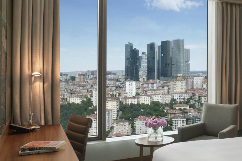 Executive King Room with Club Lounge Access and City View image 4