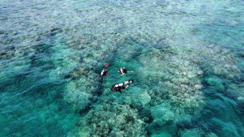 South Pacific Memories - image 11
