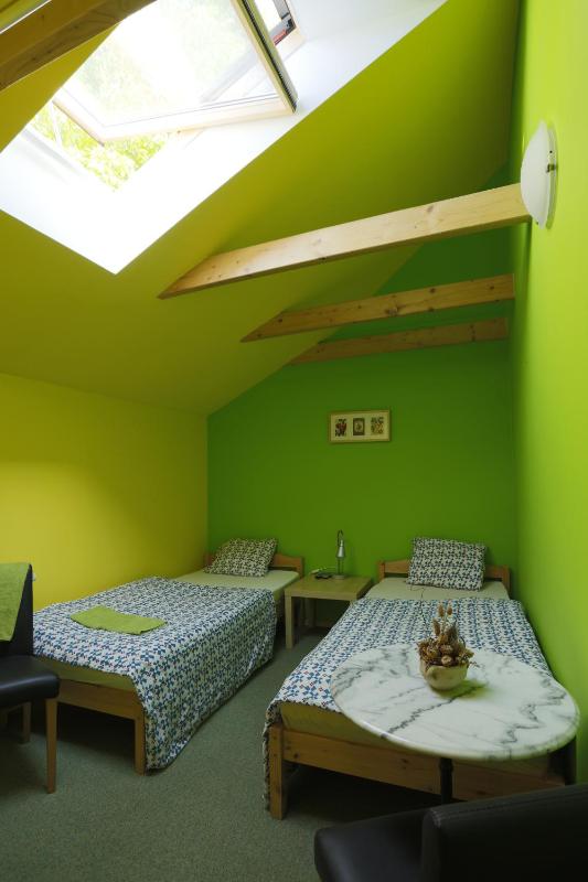 Twin Room with Bathroom image 2