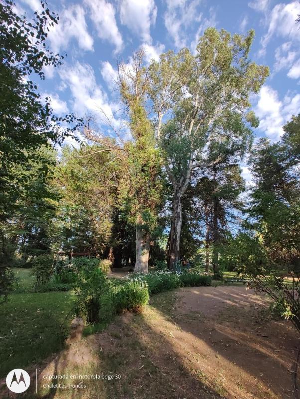 Chalet Los Troncos - image 17