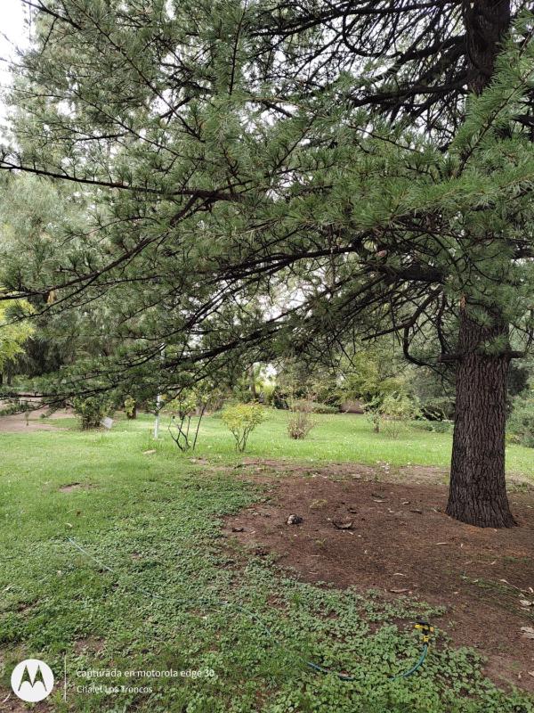 Chalet Los Troncos - image 14
