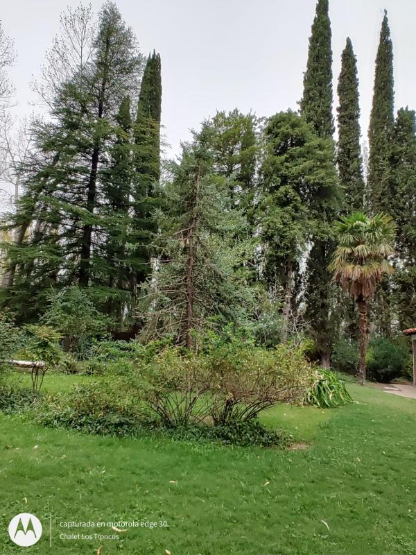 Chalet Los Troncos - image 29