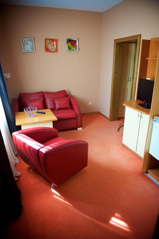 Superior Apartment image 2
