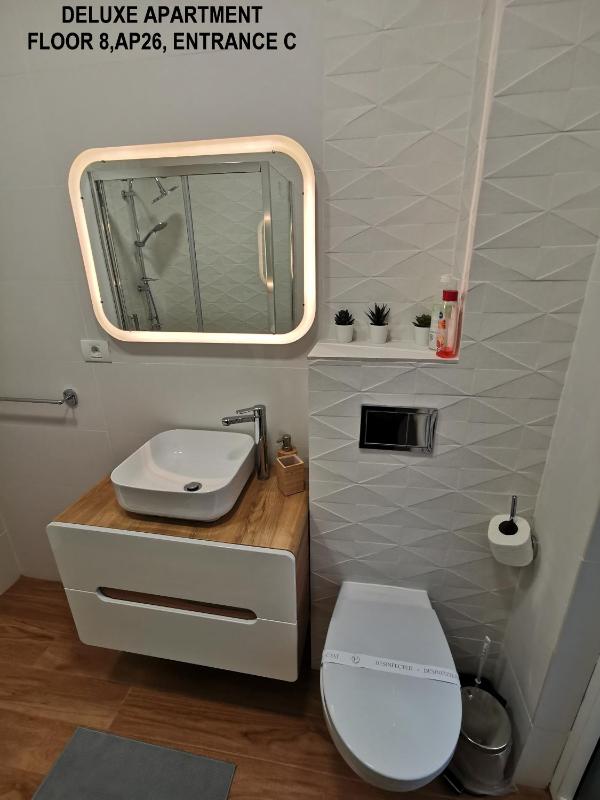 Deluxe Apartment image 4