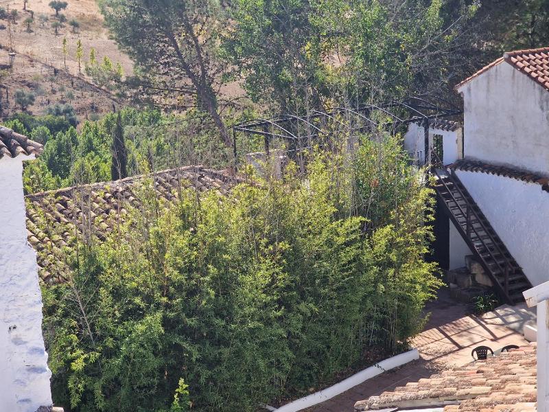 Canaan Boutique Hotel Ronda - image 34