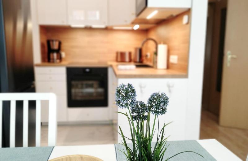 Apartment AS1 - excellent - image 11