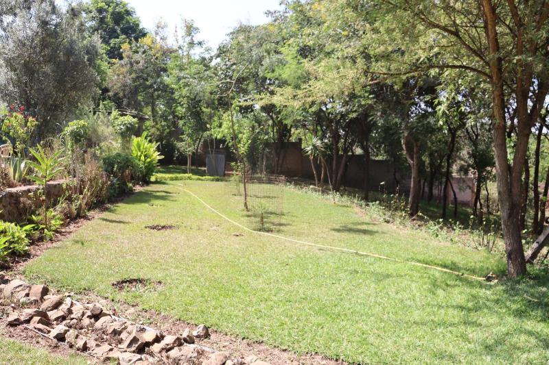 Themi View - image 3