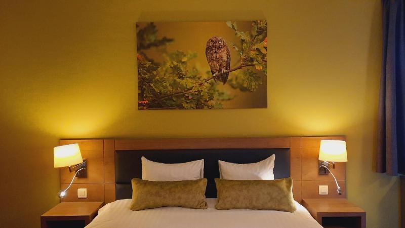 Superior Double or Twin Room image 2