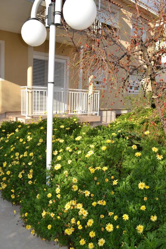 Apartment - Ground Floor image 4
