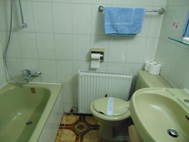 Standard Family Room image 2