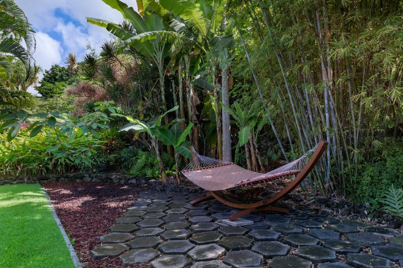 Ono Oasis - image 11