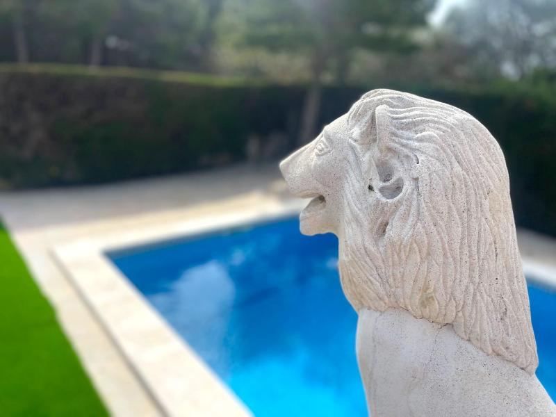 Pino Alto Villa Jazmin - image 14