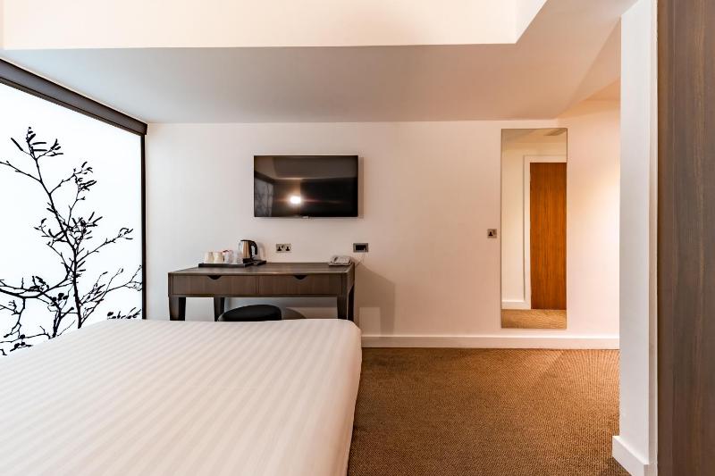 Deluxe Double Room (Windowless) image 3