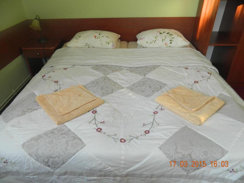 One-Bedroom Apartment (4 Adults) image 3