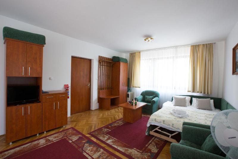 Superior One-Bedroom Apartment image 4