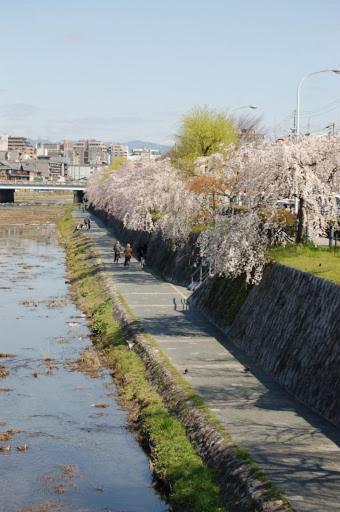 Kyoto G - image 11
